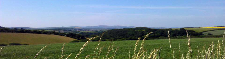 Cornish Countryside